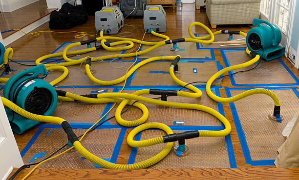 Professional Flood Damage Restoration technician working in Oakdale, LA